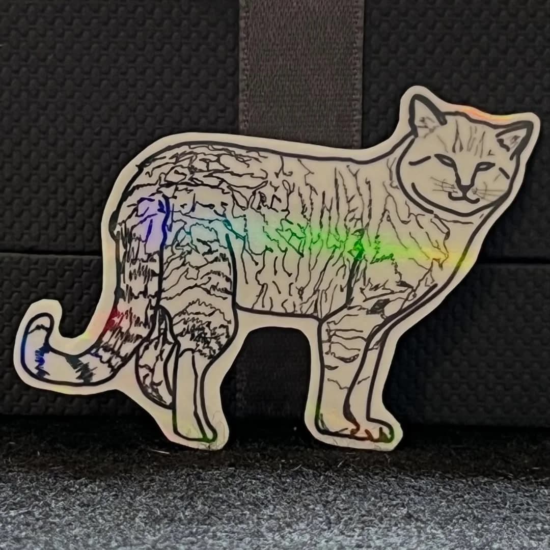 Momo holographic vinyl sticker, the rainbow laminate catching the light